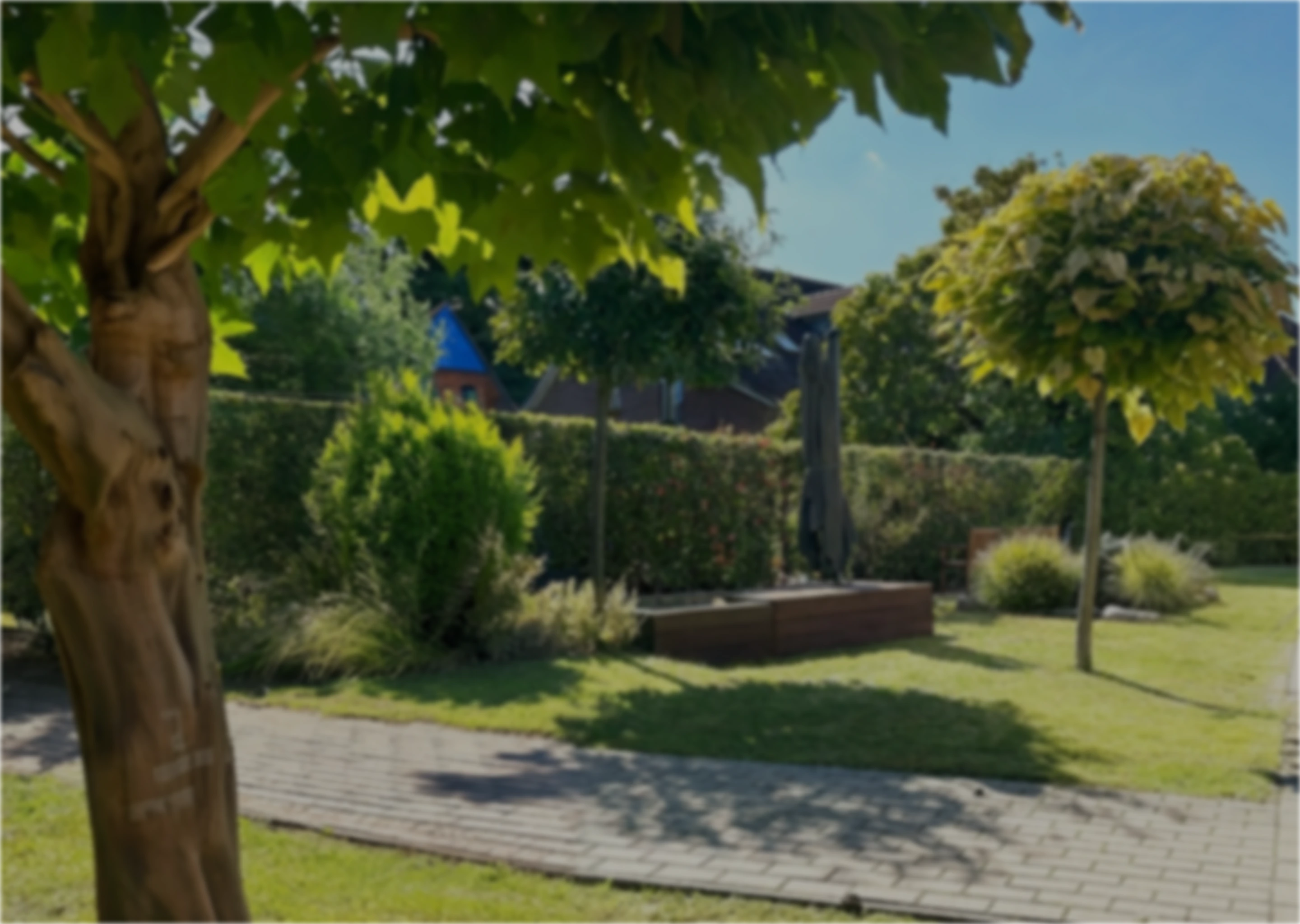 Hintergundbild mit verschwommenem Garten